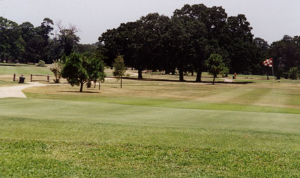 Lost Pines Golf Course photo