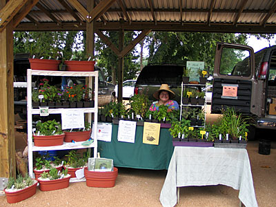 Photo of vendor's booths - River Valley Farmer's Market