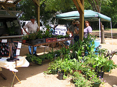 Photo of vendor's booths - River Valley Farmer's Market