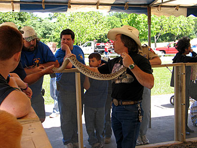 Visiting the Rattlesnake pit