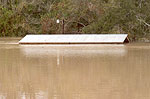 Flooding in Bastrop - November 16, 2001