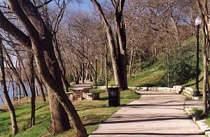 Scenes along the Bastrop River Walk