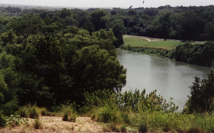 Pine Forest Golf Course photo