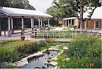 McKinney Roughs- an oasis of ecological and cultural treasures. 