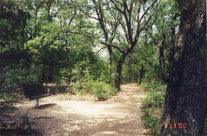 Benches for  rest along the Trails