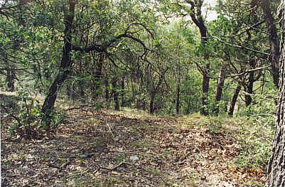 A typical view from a  hiking trail