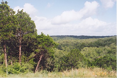 View of McKinney Roughs from an Observation point