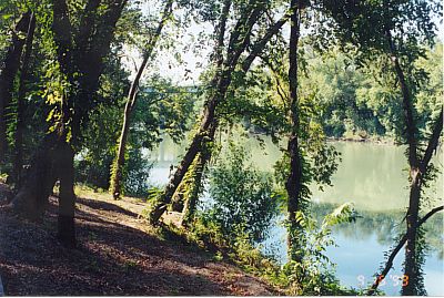 Bastrop River Walk