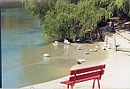 Bastrop Fisherman's Park