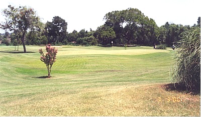 View one of the 18 hole Pine Forest Golf Course.