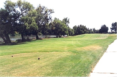 Another view of the unique layout of the18-hole Pine Forest Golf Course