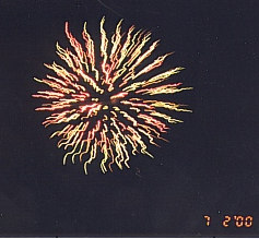 Part of the Spectacular Fireworks as seen by an estimated 10,000 throughout the city.